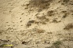 07-IMG_3339