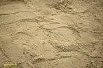 08-IMG_3341