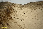 09-IMG_3352