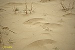15-IMG_3366