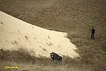16-IMG_3367