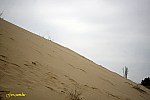 17-IMG_3373
