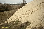 18-IMG_3385