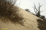19-IMG_3389