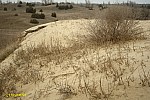 21-IMG_3397