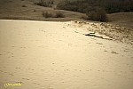 22-IMG_3398