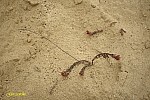 23-IMG_3414