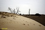24-IMG_3410