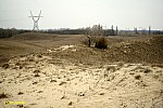 25-IMG_3404