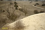 26-IMG_3399